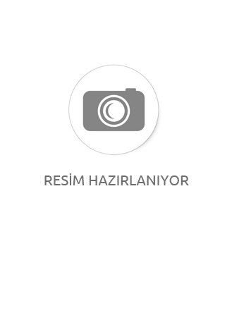 EMPORİO ARMANİ 4029 64 504271 Güneş Gözlüğü
